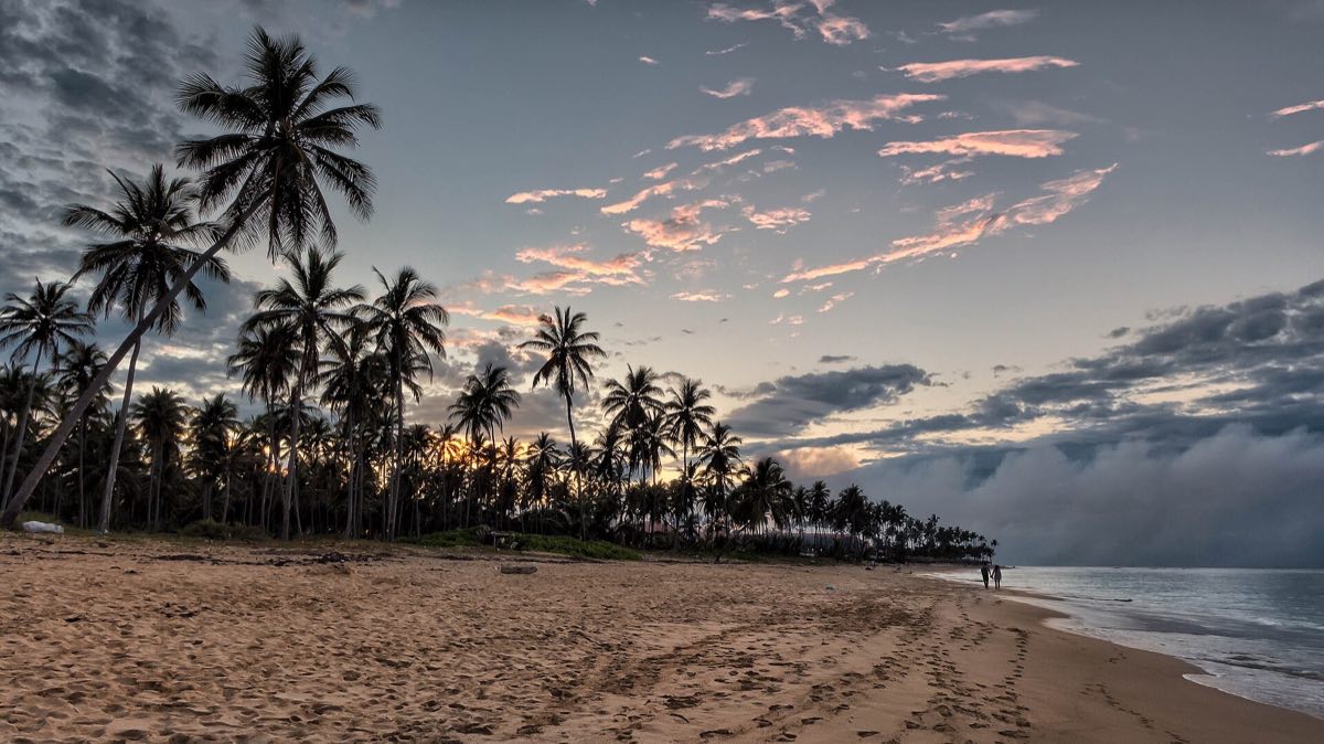 Sunset over a palm-lined beach in the Dominican Republic
