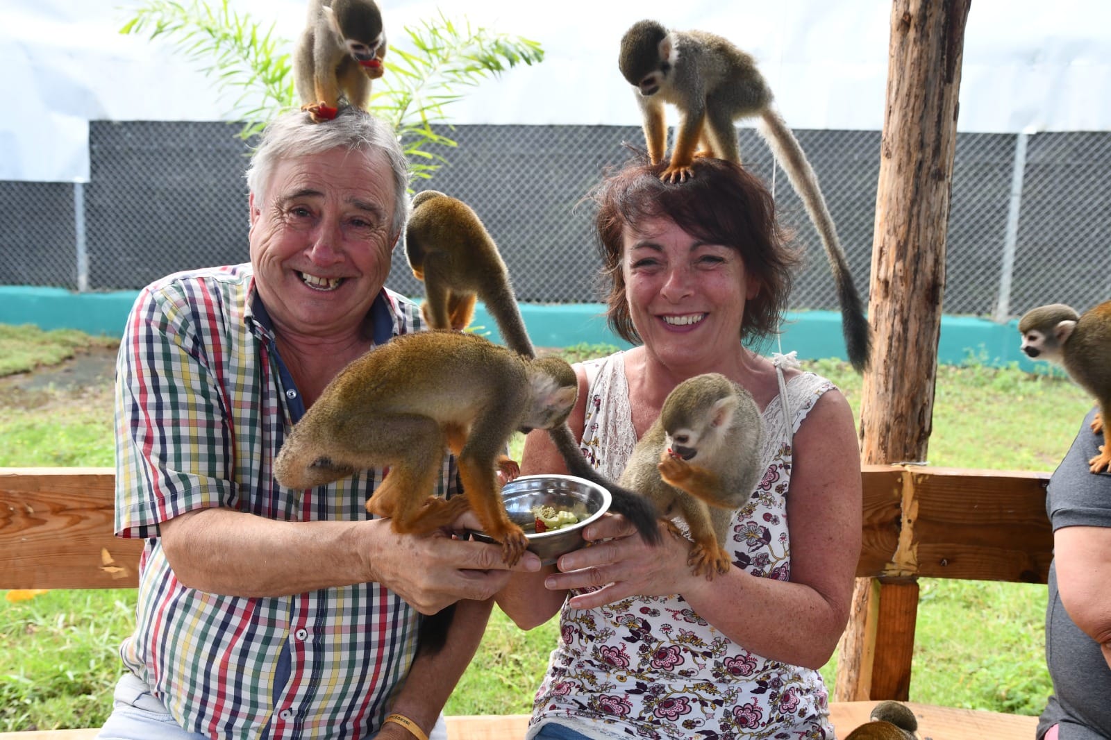 Damajagua Waterfalls + Monkey Park + Dominican Lunch experience 4