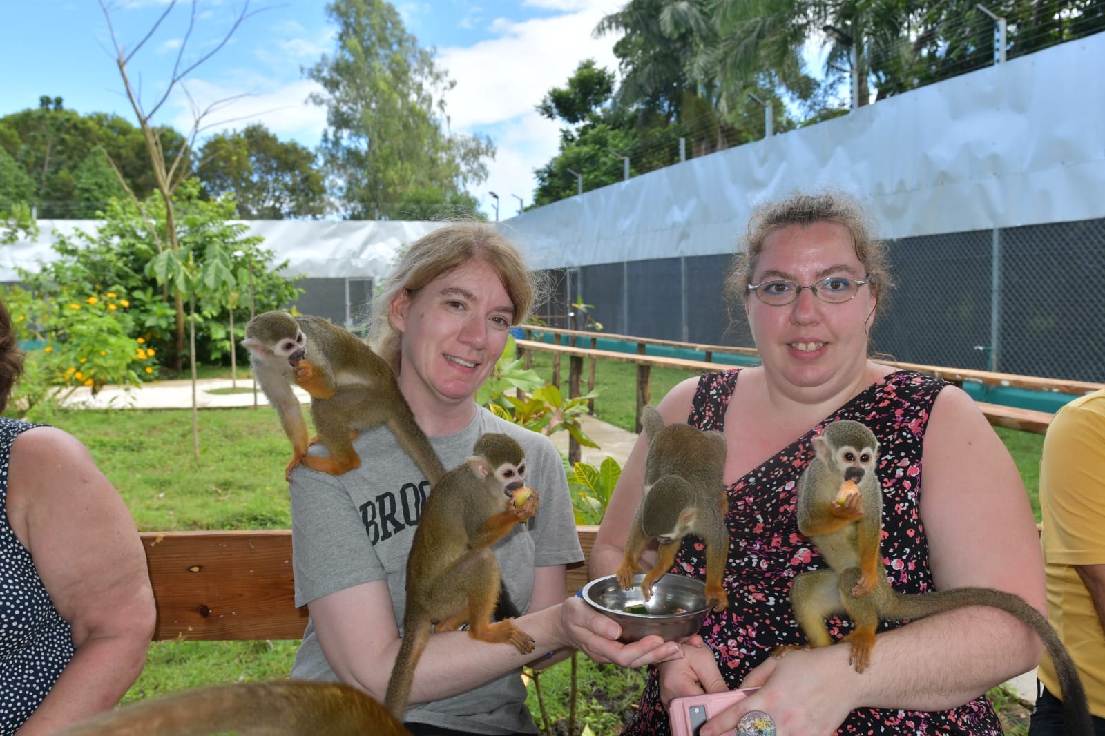 Monkey Home Adventure Puerto Plata experience 3