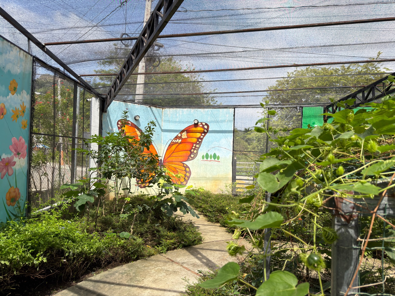 Tropical butterfly garden enclosure with a large orange butterfly mural